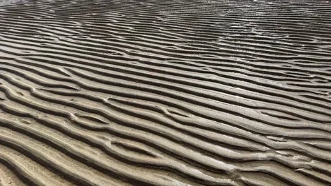 Running water forms a structure in the sand on the beach Stock Footage 198931439