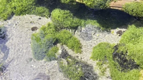 Running water in hot spring Stock Footage 156665040