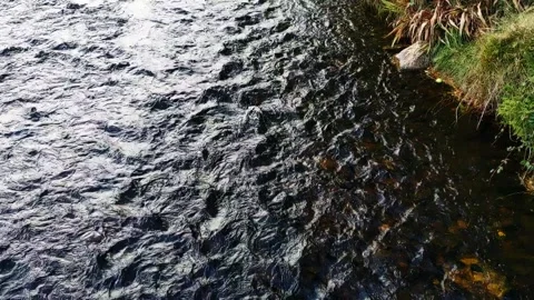 Running water in an irish stream 스톡 동영상 164173040