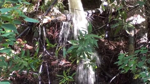 Running water in jungle 스톡 동영상 78532624