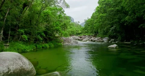 Running water in the middle of a rainforest Stock Footage 204015082