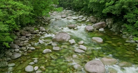 Running water in the middle of a rainforest. Stock Footage 204015336