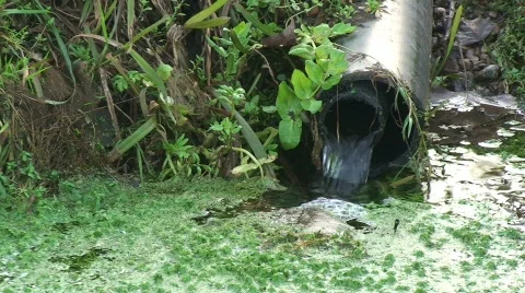 Running Water out of Pipe Into Stream Video stock 152866