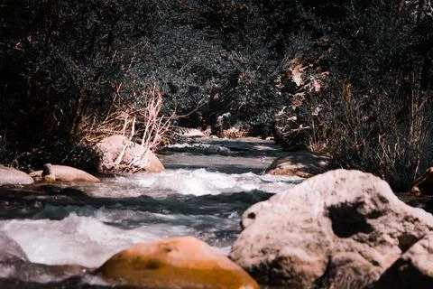 Running water 写真素材