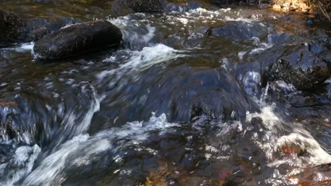 Running water river stream close up Stockbeeldmateriaal 145371384