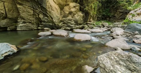 Running water, rocks, trees, greenery, crystal clear water timelapse Видео 247133157