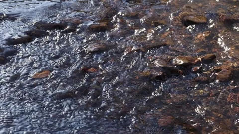 Running water in a shallow stream 스톡 동영상 273157065