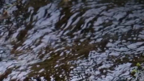 Running water in small Stock Footage 117938688