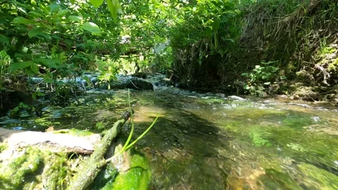 Running Water In A Stream 4k Stock Footage 192448389