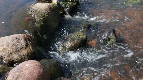 Running water of the stream between the rocks Stock Footage 161310804