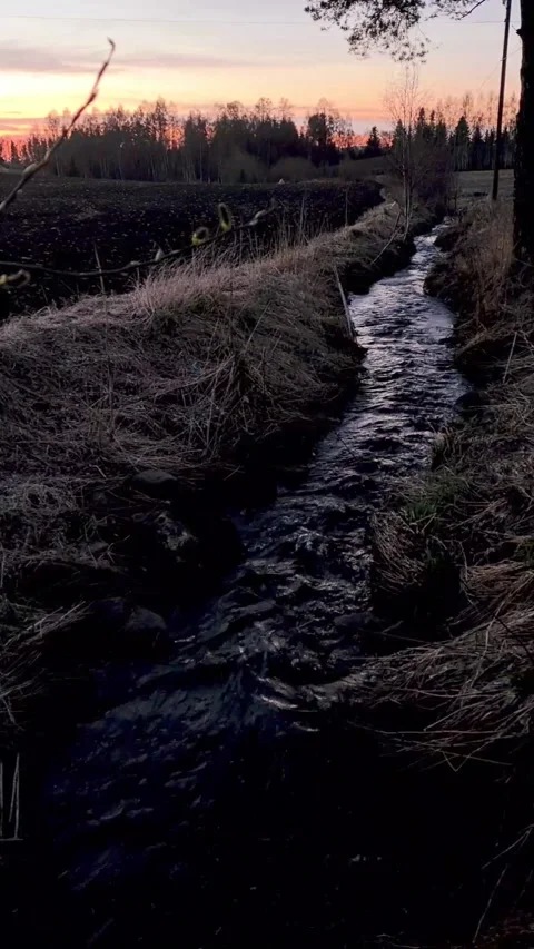 Running water in stream with sunset behind trees Stock Footage 211888759