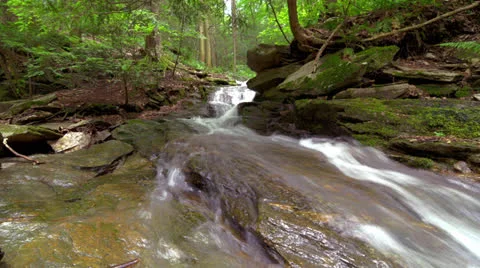 Running Water - Stream Timelapse Stock Footage 22983668