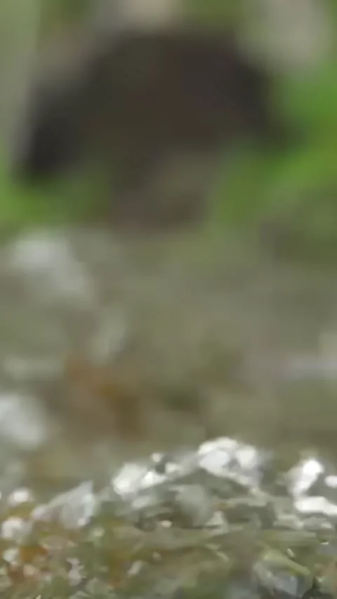 Running water texture up close outside in the late afternoon spring light Stock Footage 281640648