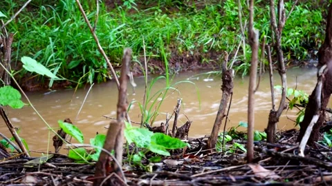Running water1 Stock Footage 161769197