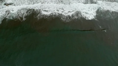 Running Waves Vidéo 91667238