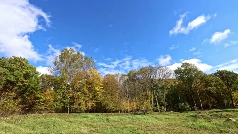 Running white clouds over a colorful autumn forest. Stock Footage 254703921