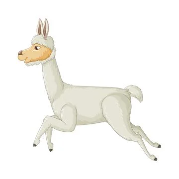 Running White Llama in Motion 스톡 일러스트