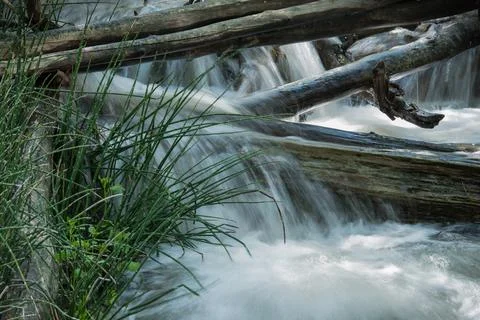 Running wilderness stream Stock Photos