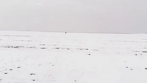 Running In The Winter Field Stock Footage 105460739