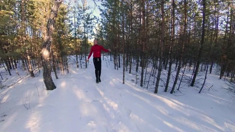 Running in the winter forest. Vidéo 150800495