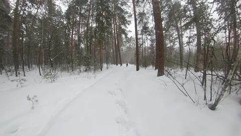 Running in the winter forest. Slow motion 2x. Видео 150805308