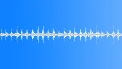 Running on wooden floor in gym hall loop Sound Effect
