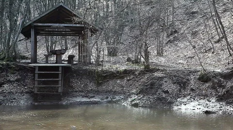 Running in the woods Stock Footage 650705