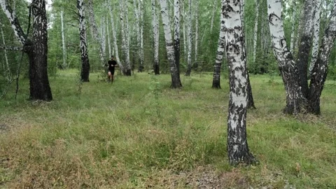 Running in the woods Stock Footage 248162150