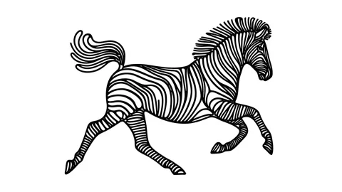 Running Zebra Line Drawing Animation Stock Footage 302673744
