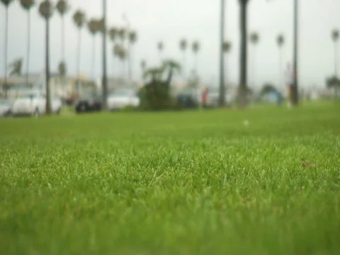 Running21G2 HD Stock Footage 1048859