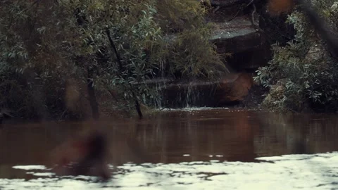 Runoff into a polluted river Video stock 150782765