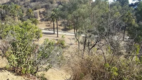 Runyon Canyon People Walking Stock Footage 83922342