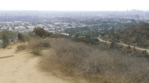 Runyon Canyon with view of LA skyline in the distance Stock Footage 93341193