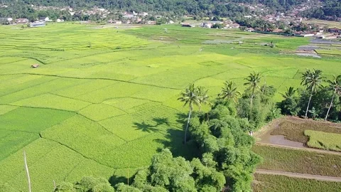 Rural 5 Stock Footage 282108121
