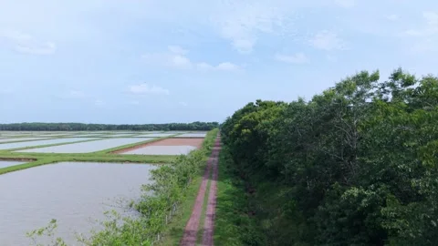 Rural Access Path Bordering Commercial Aquaculture Ponds Stock Footage 337949149