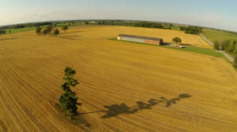 Rural Aerials - Field and Tree 01 - Agriculture Stock Footage 33744086