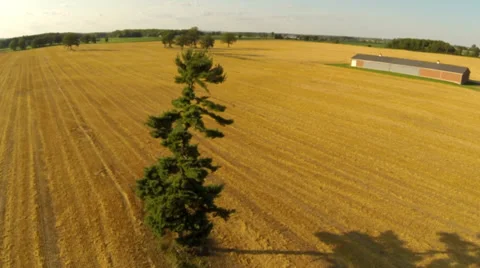 Rural Aerials - Field and Tree 02 - Agricultre Stock Footage 33744384