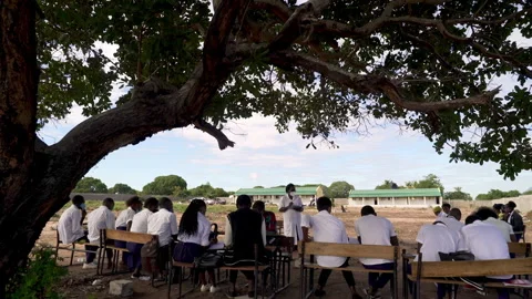 Rural african classroom under tree in Africa Stock Footage 250263184