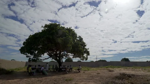 Rural african classroom under tree, wide shot Stock Footage 250263499