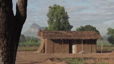 Rural african hut/homestead Stock Footage 249671866