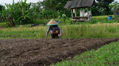 Rural Afternoon Landscape at Mount Merapi Slope – Indonesia - Old Farmer Video stock 325923599