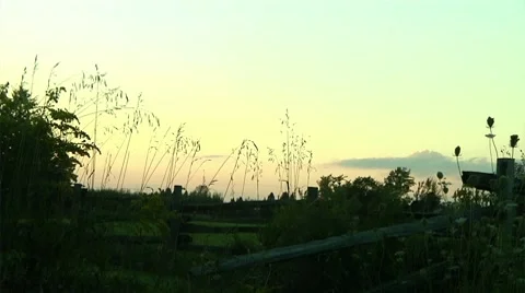 Rural ambiance Stock Footage 8694491