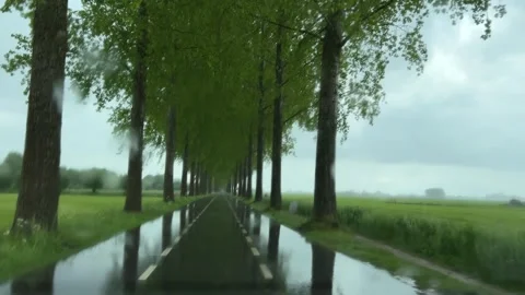 Rural Amsterdam, Rainy tree-lined rural road seen through windshield near 스톡 동영상 342751869