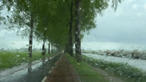 Rural Amsterdam, Rainy windshield view of tree-lined rural road with cyclist Stock-Footage 342750497