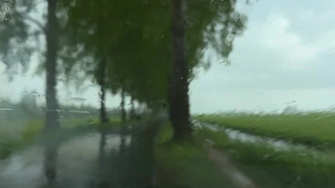 Rural Amsterdam, Rainy windshield view of tree-lined rural road with streaking Video stock 342751934