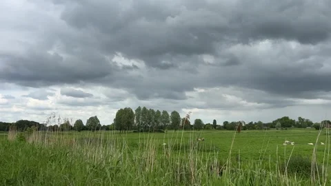 Rural Amsterdam, Storm clouds over rural Amsterdam pasture with grazing sheep Stock Footage 342751136