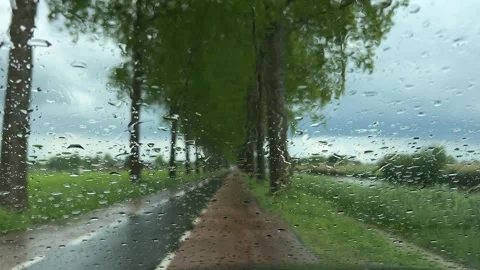 Rural Amsterdam, Tree-lined rural road seen through rain-speckled windshield Vidéo 342750035