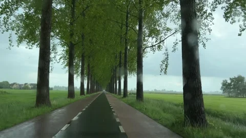 Rural Amsterdam, Wet tree-lined country road with windshield wiper and Stock-Footage 342754878