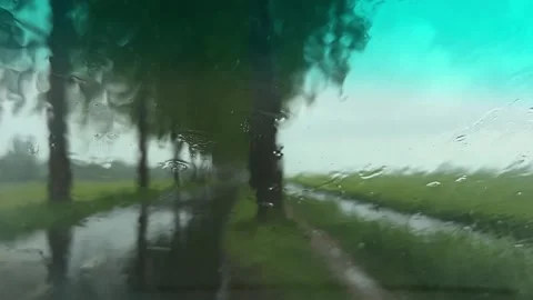 Rural Amsterdam, Wet windshield view of rural tree-lined road with rain runoff Video stock 342756334