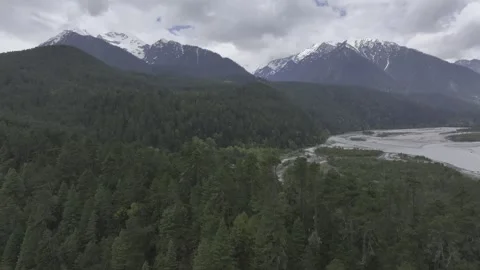 The rural and idyllic scenery of the spruce forest in Bomi, Tibet 库存影片 306864698